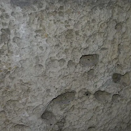 Vivienda Turistica El Caneco *